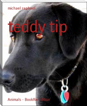 teddy tip by michael raphael (cat reading book TXT) 📕 - American Library Books 📚 Read (28910) Books Online Free