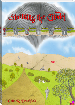 Storming the Citadel by Colin R. Brookfield (cat reading book .TXT) 📕 - American Library Books 📚 Read (28910) Books Online Free