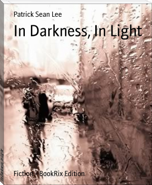 In Darkness, In Light by Patrick Sean Lee (best books to read non fiction TXT) 📕 - American Library Books 📚 Read (28910) Books Online Free