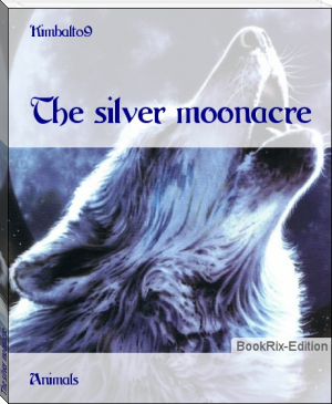 The silver moonacre by Kimbalto9 (simple e reader .txt) 📕 - American Library Books 📚 Read (28910) Books Online Free