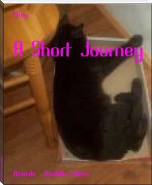A Short Journey by Cheyenne Hake (books to read to increase intelligence .txt) 📕 - American Library Books 📚 Read (28910) Books Online Free