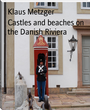 Castles and beaches on the Danish Riviera by Klaus Metzger (books recommended by bts .TXT) 📕 - American Library Books 📚 Read (28910) Books Online Free