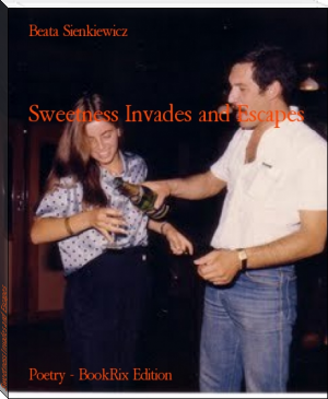 Sweetness Invades and Escapes by Beata Sienkiewicz (interesting books to read for teens TXT) 📕 - American Library Books 📚 Read (28910) Books Online Free