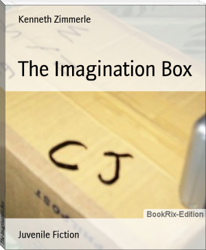 The Imagination Box by Kenneth Zimmerle (best motivational novels TXT) 📕 - American Library Books 📚 Read (28910) Books Online Free