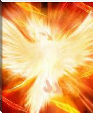 Phoenix Tears by Flo (classic children's novels .txt) 📕 - American Library Books 📚 Read (28910) Books Online Free