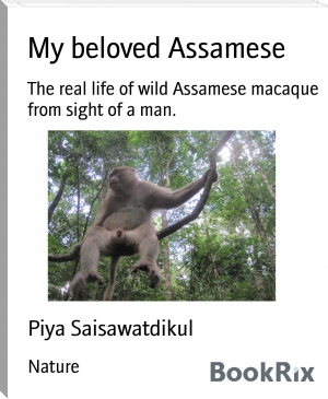 My beloved Assamese by Piya Saisawatdikul (good non fiction books to read .TXT) 📕 - American Library Books 📚 Read (28910) Books Online Free