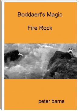 Fire Rock by Peter Barns (motivational books for men txt) 📕 - American Library Books 📚 Read (28910) Books Online Free