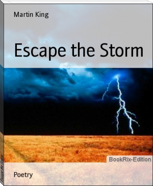Escape the Storm by Martin King (elon musk reading list .TXT) 📕 - American Library Books 📚 Read (28910) Books Online Free