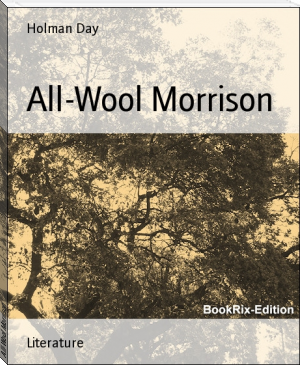 All-Wool Morrison by Holman Day (books for 20 year olds TXT) 📕 - American Library Books 📚 Read (28910) Books Online Free