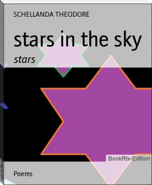 stars in the sky by SCHELLANDA THEODORE (spanish books to read TXT) 📕 - American Library Books 📚 Read (28910) Books Online Free