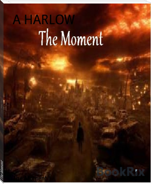 The Moment by A HARLOW (best large ereader TXT) 📕 - American Library Books 📚 Read (28910) Books Online Free