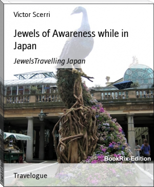 Jewels of Awareness while in Japan by Victor Scerri (best ereader under 100 .txt) 📕 - American Library Books 📚 Read (28910) Books Online Free