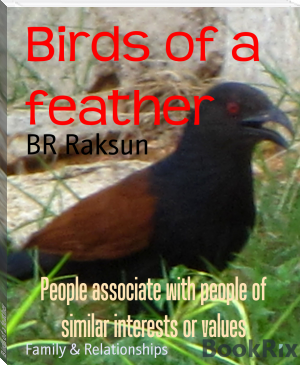 Birds of a feather by BR Raksun (nice books to read TXT) 📕 - American Library Books 📚 Read (28910) Books Online Free