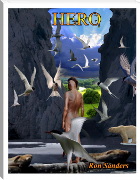 Hero by Ron Sanders (free ebook reader TXT) 📕 - American Library Books 📚 Read (28910) Books Online Free