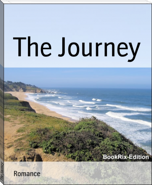 The Journey by John Dane (bts books to read TXT) 📕 - American Library Books 📚 Read (28910) Books Online Free