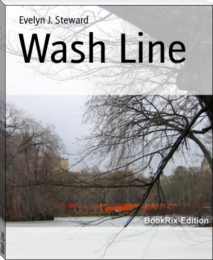 Wash Line by Evelyn J. Steward (inspiring books for teens TXT) 📕 - American Library Books 📚 Read (28910) Books Online Free