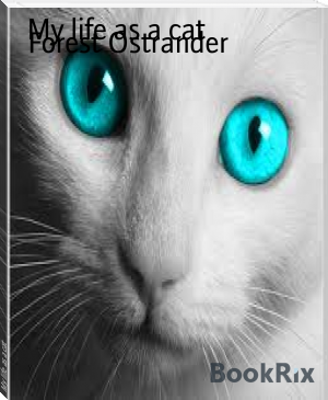My life as a cat by Forest Ostrander (top 10 novels .txt) 📕 - American Library Books 📚 Read (28910) Books Online Free
