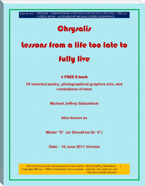 Crysalis by michael jeffrey slebodnick (best books to read for knowledge TXT) 📕 - American Library Books 📚 Read (28910) Books Online Free