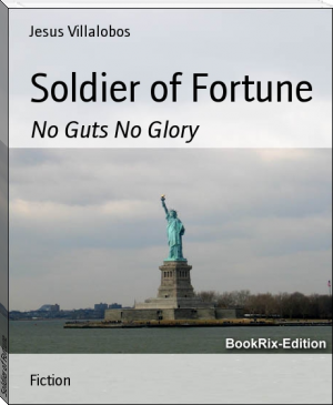 Soldier of Fortune by Jesus Villalobos (ebook reader wifi txt) 📕 - American Library Books 📚 Read (28910) Books Online Free
