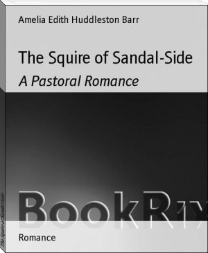 The Squire of Sandal-Side by Amelia Edith Huddleston Barr (kiss me liar novel english .TXT) 📕 - American Library Books 📚 Read (28910) Books Online Free