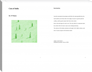 Cata of India by j p ronan (motivational books to read TXT) 📕 - American Library Books 📚 Read (28910) Books Online Free