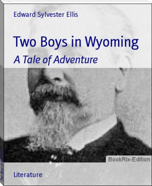 Two Boys in Wyoming by Edward Sylvester Ellis (good book club books .txt) 📕 - American Library Books 📚 Read (28910) Books Online Free