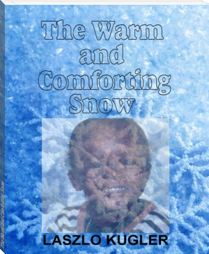 The Warm and Comforting Snow by Laszlo Kugler (best contemporary novels .txt) 📕 - American Library Books 📚 Read (28910) Books Online Free
