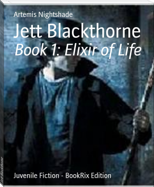 Jett Blackthorne by Artemis Nightshade (top ten books of all time .txt) 📕 - American Library Books 📚 Read (28910) Books Online Free