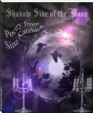 Shadow Side of the Moon by Sina Katzlach (most popular novels of all time .TXT) 📕 - American Library Books 📚 Read (28910) Books Online Free