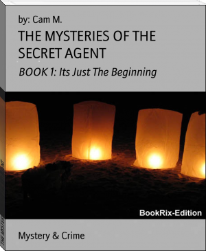 THE MYSTERIES OF THE SECRET AGENT by by: Cam M. (best novels of all time .txt) 📕 - American Library Books 📚 Read (28910) Books Online Free