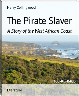 The Pirate Slaver by Harry Collingwood (snow like ashes txt) 📕 - American Library Books 📚 Read (28910) Books Online Free