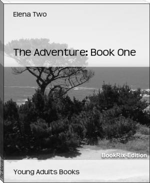 The Adventure: Book One by Elena Two (book suggestions txt) 📕 - American Library Books 📚 Read (28910) Books Online Free