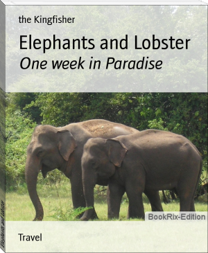Elephants and Lobster by the Kingfisher (large screen ebook reader .TXT) 📕 - American Library Books 📚 Read (28910) Books Online Free