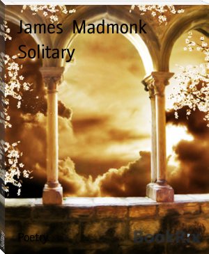 Solitary by James  Madmonk (beach read book txt) 📕 - American Library Books 📚 Read (28910) Books Online Free