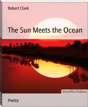 The Sun Meets the Ocean by Robert Clark (speed reading book TXT) 📕 - American Library Books 📚 Read (28910) Books Online Free