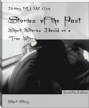 Stories of the Past by Brittany M. J. W. Cook (top inspirational books .txt) 📕 - American Library Books 📚 Read (28910) Books Online Free