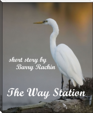 The Way Station by Barry Rachin (snow like ashes series txt) 📕 - American Library Books 📚 Read (28910) Books Online Free