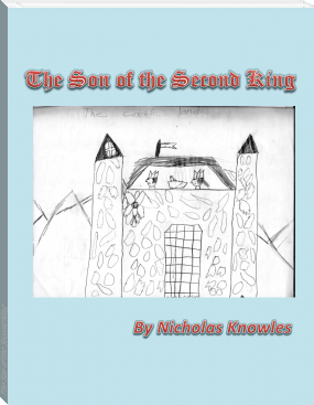 The Son of the Second King by Nicholas Knowles (most motivational books .TXT) 📕 - American Library Books 📚 Read (28910) Books Online Free