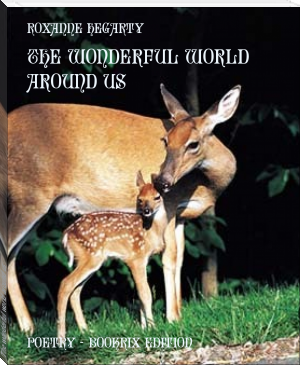 The wonderful world around us by Roxanne Hegarty (ebook reader for comics txt) 📕 - American Library Books 📚 Read (28910) Books Online Free