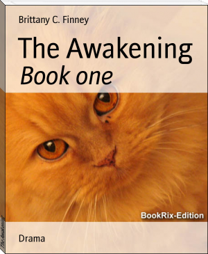 The Awakening by Brittany C. Finney (accelerated reader books .txt) 📕 - American Library Books 📚 Read (28910) Books Online Free