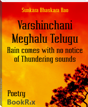 Varshinchani Meghalu Telugu by Sunkara Bhaskara Rao (essential books to read TXT) 📕 - American Library Books 📚 Read (28910) Books Online Free