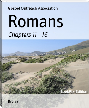 Romans by Gospel Outreach Association (tharntype novel english .txt) 📕 - American Library Books 📚 Read (28910) Books Online Free