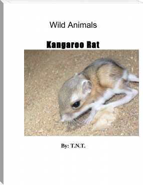 Kangaroo Rat by TNT (romance novel chinese novels .TXT) 📕 - American Library Books 📚 Read (28910) Books Online Free