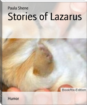 Stories of Lazarus by Paula Shene (uplifting novels .TXT) 📕 - American Library Books 📚 Read (28910) Books Online Free