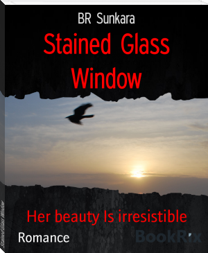 Stained Glass Window by BR Sunkara (great novels to read txt) 📕 - American Library Books 📚 Read (28910) Books Online Free