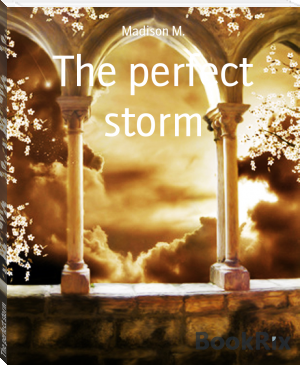 The perfect storm by Madison M. (english novels to read .TXT) 📕 - American Library Books 📚 Read (28910) Books Online Free