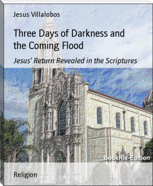 Three Days of Darkness and the Coming Flood by Jesus Villalobos (top 10 ebook reader txt) 📕 - American Library Books 📚 Read (28910) Books Online Free