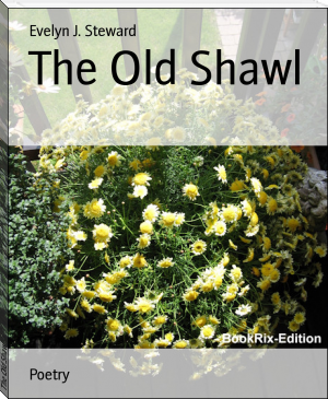 The Old Shawl by Evelyn J. Steward (the best novels to read .txt) 📕 - American Library Books 📚 Read (28910) Books Online Free