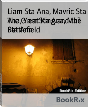 The Great King and the Battlefield by Liam Sta Ana, Mavric Sta Ana, Yam Sta Ana, Mail Sta Ana (best novel books to read TXT) 📕 - American Library Books 📚 Read (28910) Books Online Free