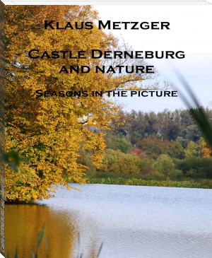Castle DERNEBURG and nature (II) by Klaus Metzger (top android ebook reader .txt) 📕 - American Library Books 📚 Read (28910) Books Online Free